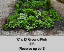 ground_plot_price-02-217x175